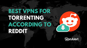 Reddit Torrenting: A Deep, Human-Written Exploration of How Communities Share Knowledge, Navigate Risks, and Evolve in the Digital Age