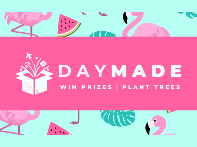 Daymade: Redefining Daily Creation, Quality, and Modern Digital Identity